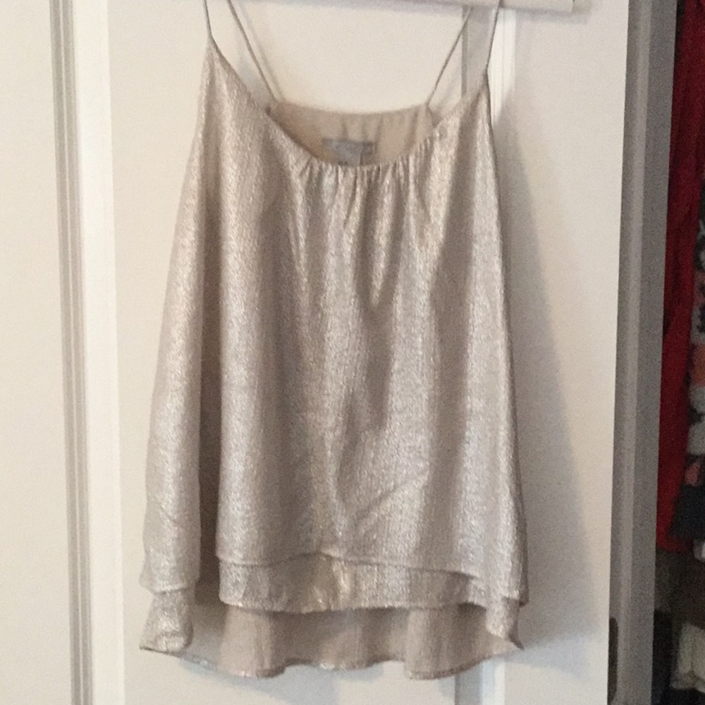 Zara shimmery tank